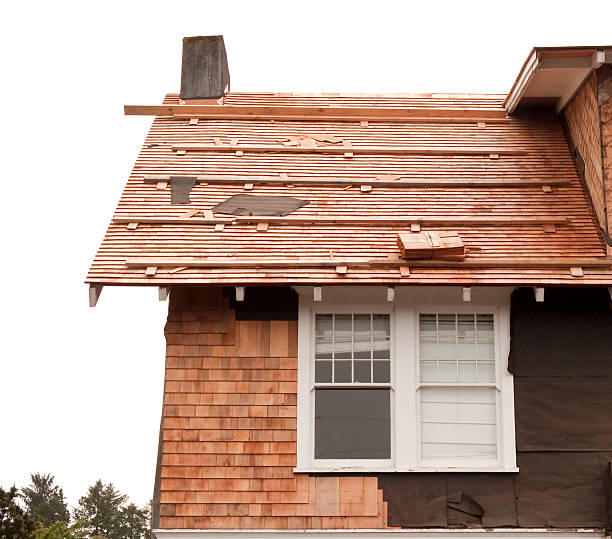 Affordable Siding Repair and Maintenance Services in Bronx, NY